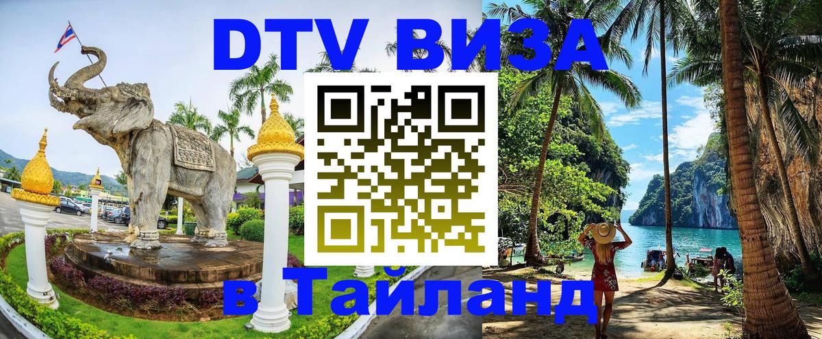 Сколько стоит DTV виза — актуальные цены, оформление даже без документов - Осло 